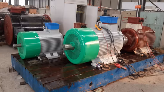 300kw Customized Double Shaft Synchronous Permanent Magnet Generator Pmg